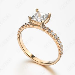 Sophisticated Earrings